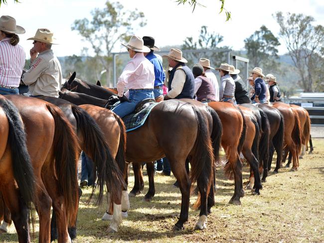 Australian Campdraft Australia National Finals, Kilkivan Showgrounds, 4-7 September 2013.  Behind the scenes.   Photo Tanya Easterby / The Gympie Times