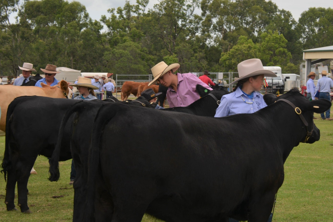 At the 71st annual Cooyar Show. Picture: Kate McCormack