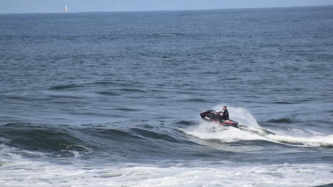 A humpback whale and calf have been taking shelter in the Richmond River at Ballina.