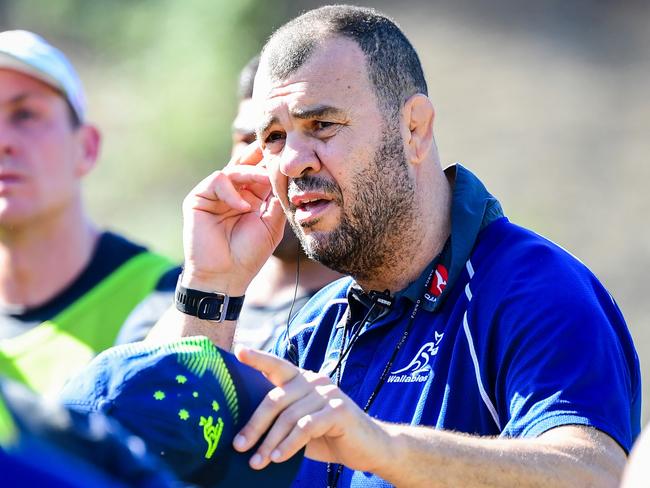 Wallabies head coach Michael Cheika has put his job on the line. Picture: Rugby AU Media/Stuart Walmsley