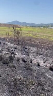 Traffic diverted after fires on Bruce Highway near Mackay