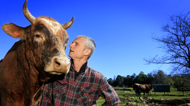 Anthony Walsgott with Swifty the Jersey bull. Jersey bulls are considered to be aggressive and have killed farmers but Anthony has a close relationship with these bulls he has rescued and hand raised. Picture: Megan Slade