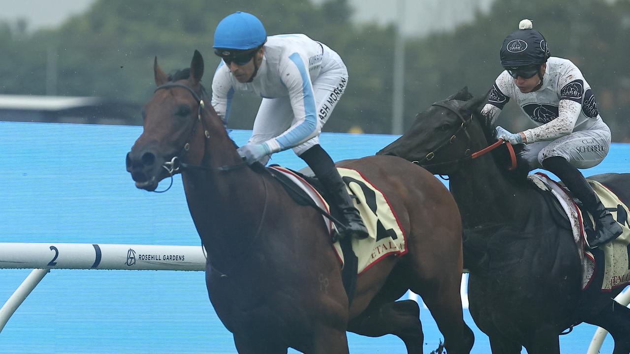 TAB has Private Harry as second favourite in its Magic Millions Sunlight market. Picture: Jeremy Ng/Getty Images