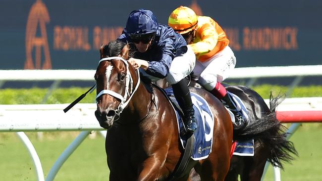 Todman Stakes winner Switzerland. Photo: Jeremy Ng/Getty Images.