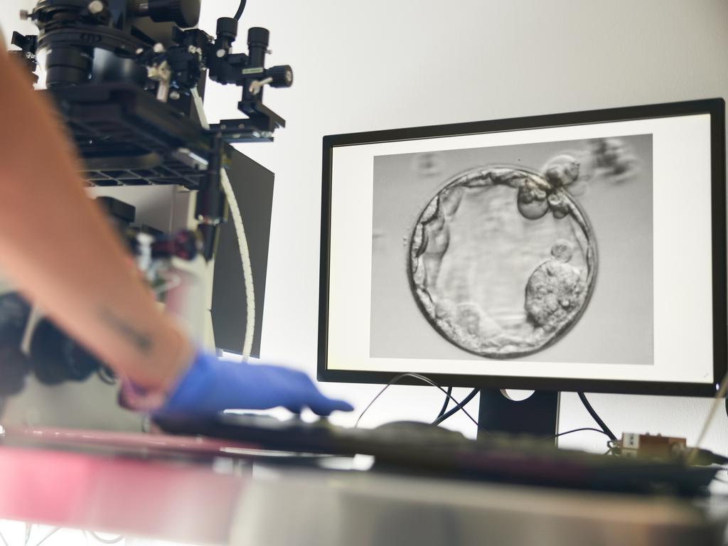 It came to light just six months after Monash agreed to pay a $56 million in a class action settlement to hundreds of patients whose embryos were wrongly destroyed. Picture: iStock