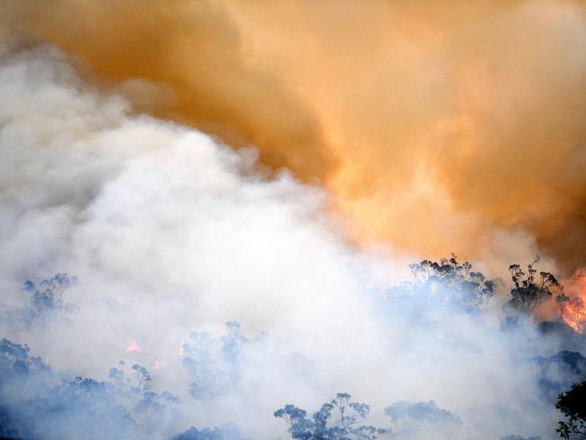 (FILES) In this file photo taken on December 09, 2019 smoke and flames from a back burn, conducted to secure residential areas from encroaching bushfires, are seen at the Spencer area in Central Coast, some 90-110 kilometres north of Sydney. - Earth Day is an annual event on April 22 to demonstrate support for environmental protection. (Photo by SAEED KHAN / AFP)