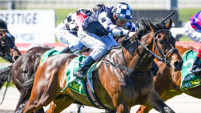 Young Werther is the horse to beat in he Victoria Derby. Picture: Reg Ryan/Racing Photos