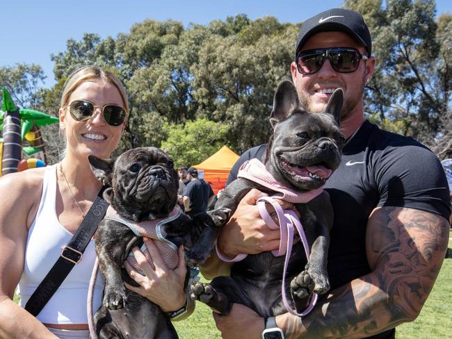 ADELAIDE, AUSTRALIA - Advertiser Photos SEPTEMBER 24, 2023: Dogs Day Out 2023 at Mawson Lakes. Picture: Emma Brasier