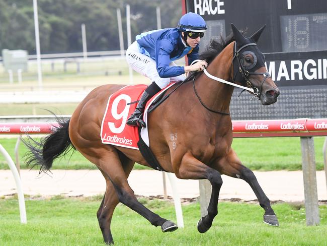 Humming ridden by Damian Lane wins the Ladbrokes Punter Assist Mdn Plate at Moe Racecourse on February 08, 2023 in Moe, Australia. (Photo by Pat Scala/Racing Photos via Getty Images)