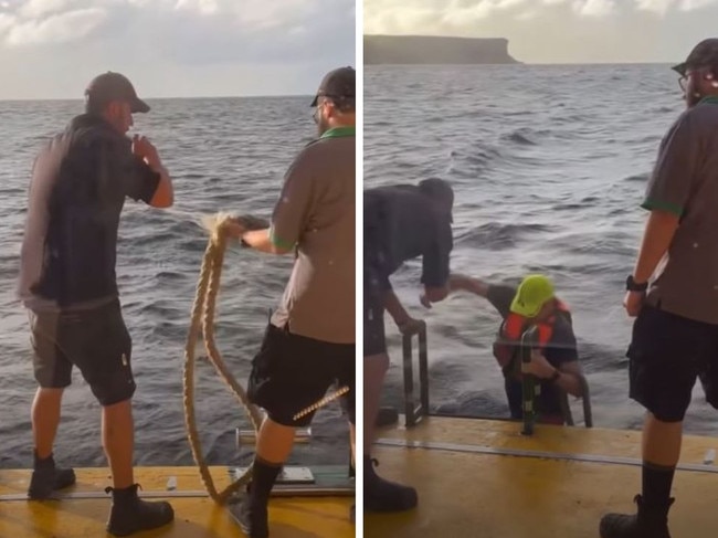 Heroic ferry staff save drowning kayaker. Picutre: Instagram@manlyobserver