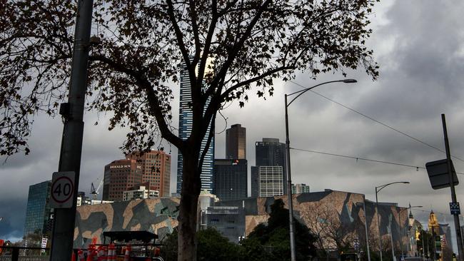 Plane trees on Flinders St between Fed Square and Spring St have been cut down by the council due to damage from cars. Picture: Jay Town