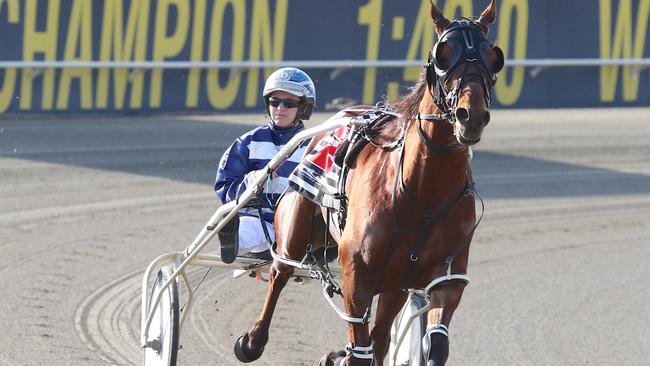 Kelli Dawson with Destreos after winning his 400th start. Picture: Dan Costello