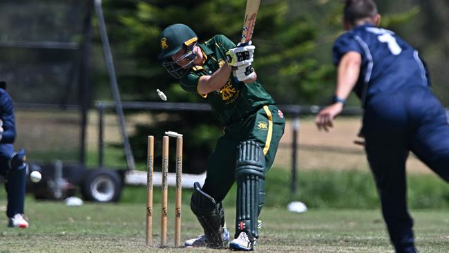 Aaron Crispe has his off stump knocked back. Picture: Andy Brownbill