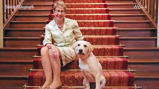 NSW Governor meets guide dog named after her