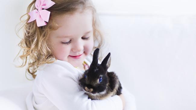 Makes for a cute photo but after she’s been kicked and scratched a few times, bunny will be banished to its cage. Picture: Getty 