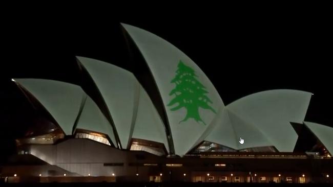 A Lebanese cedar is projected onto the Sydney Opera House on Tuesday night. Picture: Seven News