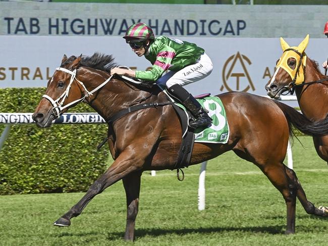 Preemptory, pictured winning a Highway Handicap at Randwick in April last year, is one of Shayne O'Cass's best bets of the day at Grafton on Monday. PIcture: Bradley Photos