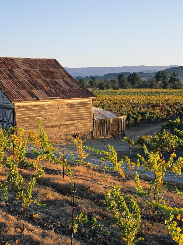 For South Australians, Napa Valley wine region has never been closer. Picture: Getty Images