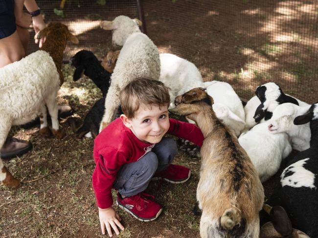 William Cooper with some animal friends in the petting zoo at the Fairholme Spring Fair, Saturday, October 19, 2024. Picture: Kevin Farmer