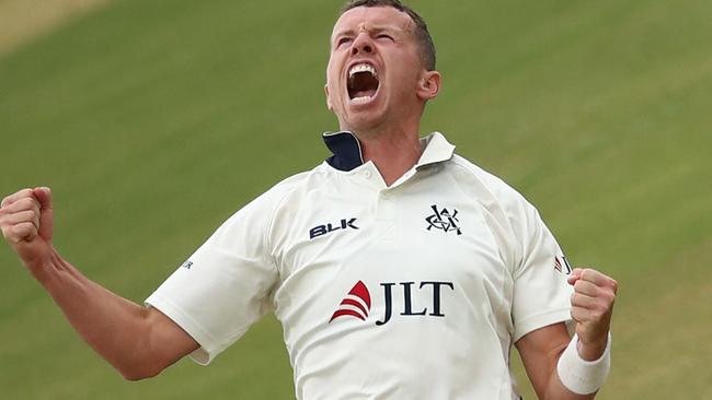 Peter Siddle has a wealth of Ashes experience behind him.