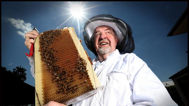 Paul Tully has more time to tend to his bees. Picture: Jamie Hanson