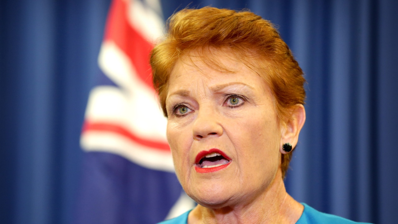 Pauline Hanson pleads for Australians to stop voting for the ‘same idiots’