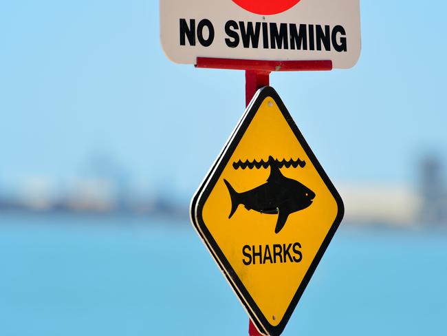 Shark sighting on the Strand, Townsville. Generic sign photo. Picture: Alix Sweeney