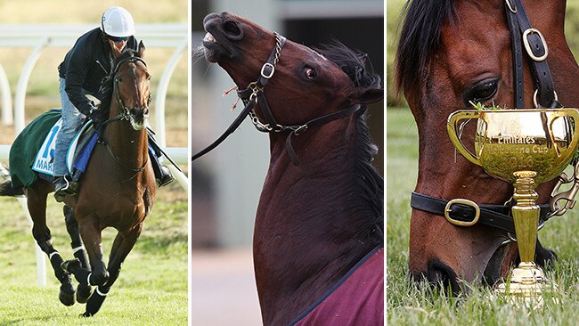 Marmelo, Johannes Vermeer and 2016 Melbourne Cup winner Almandin.