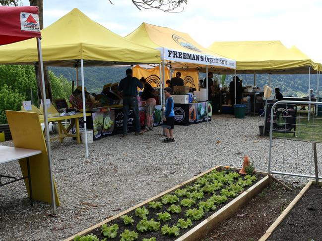 The Freeman farm in Currumbin Valley has been running for more than 100 years. Picture by Scott Fletcher