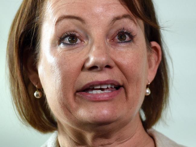 **FILE** A Monday, Oct 10, 2016 file photo of Minister for Health and Aged Care Sussan Ley at a press conference in Canberra. Ms. Ley is under fire for her purchase of a $795,000 Gold Coast unit during a taxpayer-funded trip to Queensland in May 2015. (AAP Image/Mick Tsikas) NO ARCHIVING