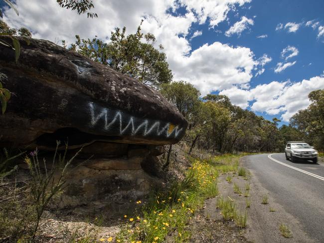 The large rock, painted to look like the head of a lizard on Morgan Rd, Belrose. But the proposed development is called Patyegarang — in honour of an Aboriginal woman thought to have been the first original inhabitant to teach an Aboriginal language to early Sydney colonists. (AAP Image / Julian Andrews)