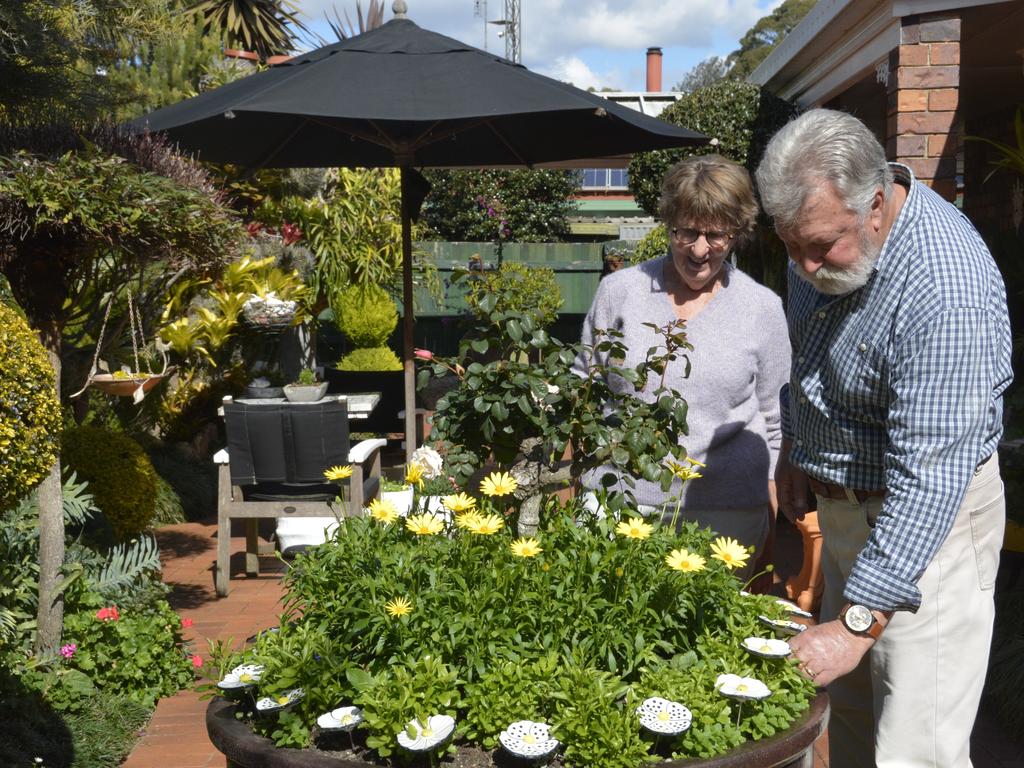 Maria and Ian Weatherby are two keen Harristown gardeners who are looking forward to this year's Chronicle Garden Competition.