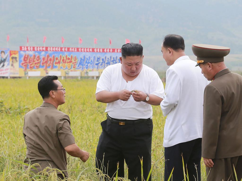 Kim Jong-un in September inspecting a field where flood recovery efforts are underway. Picture: KCNA