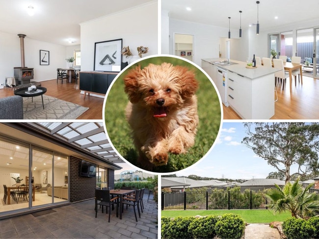 SA’s top pet-friendly homes for sale right now