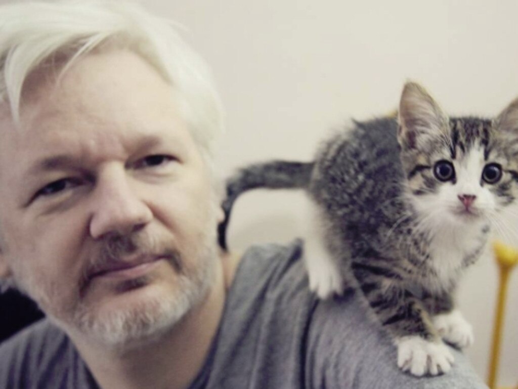 Assange remains in jail in England. Picture: Supplied