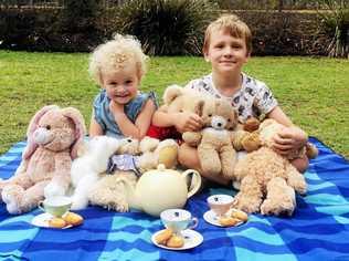 Daisy, 3, and Fox, 7, Davis look ahead to next month's Teddy Bears Picnic at Fernvale Community Hall. Picture: Brad Weir