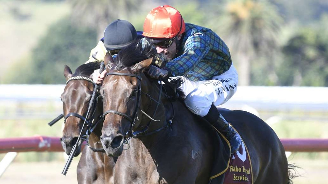 New Zealand filly Dubai Goldrush was a late entry in the Australian Oaks field. Picture: Kenton Wright/Race Images