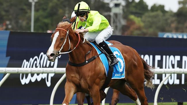 SYDNEY, AUSTRALIA - SEPTEMBER 28: Zac Lloyd riding Makarena wins Race 7 Racing And Sports Golden Pendant during "Golden Rose Day" Sydney Racing at Rosehill Gardens on September 28, 2024 in Sydney, Australia. (Photo by Jeremy Ng/Getty Images)