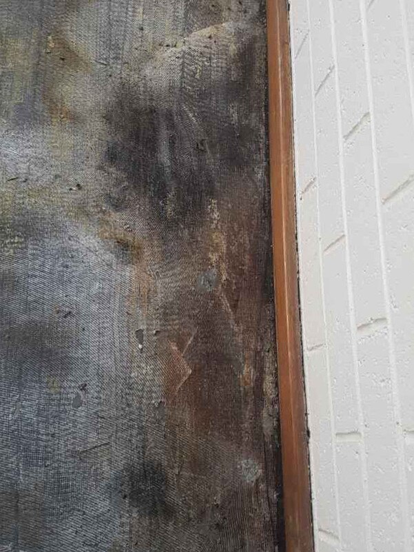 Supplied photos of mould inside a South Hobart unit. Picture: Zak Simmonds