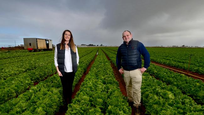 AusVeg SA chief executive officer Jordan Brooke-Barnett and deputy chairperson Renee Pye at Virginia. Picture: Sam Wundke