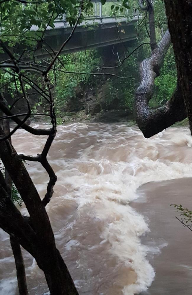 Toowong Creek was a raging torrent today.