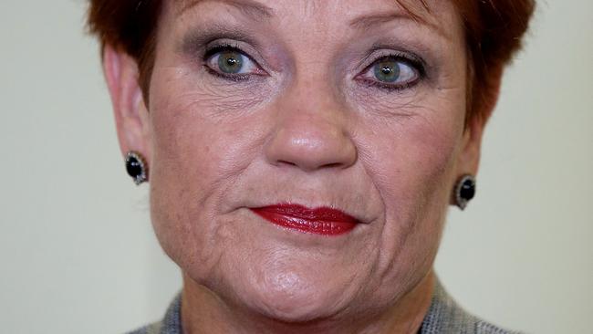 ‘I will not support a tax threshold of under $50m,’ says senator Pauline Hanson. Picture: Kym Smith