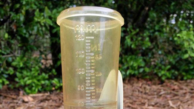 A rain gauge in Lawrence St shows Gympie's recording of 80mm overnight. Picture: Rowena Robertson