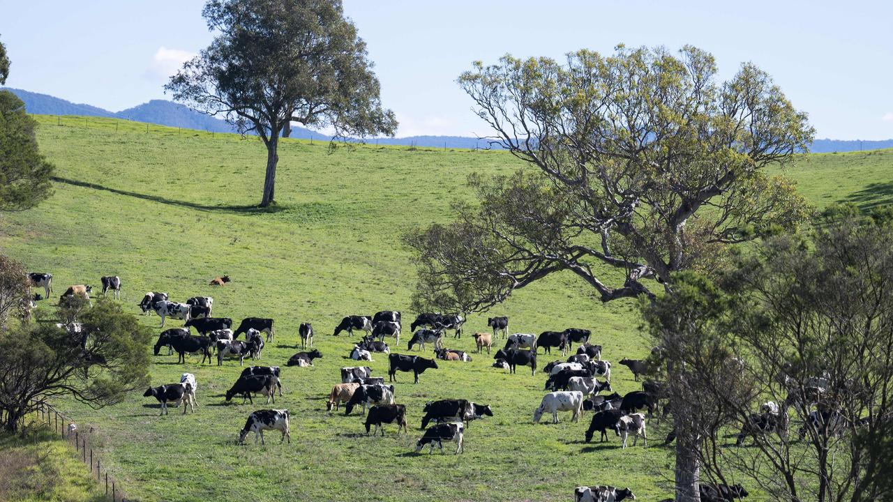 Victoria: Hundreds of dairy workers to go on ‘indefinite’ strike as ...