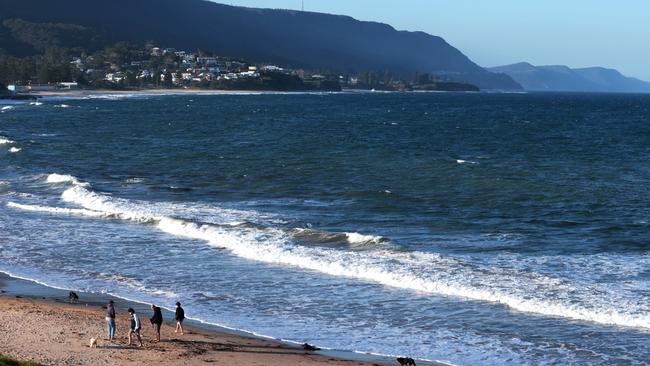 Bulli Beach