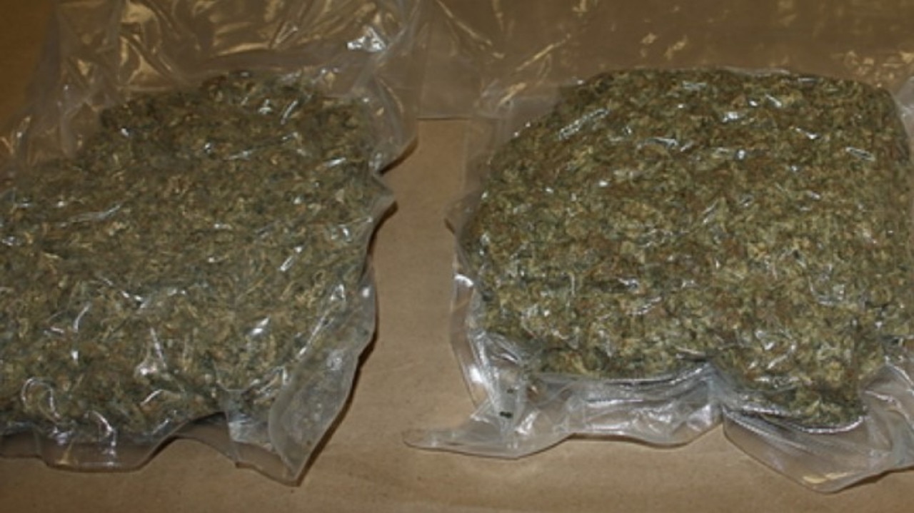 Marijuana seized by Sunshine Coast detectives in 2016 as part of Operation Oscar Octave.