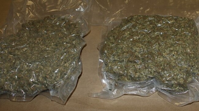 Marijuana seized by Sunshine Coast detectives in 2016 as part of Operation Oscar Octave.