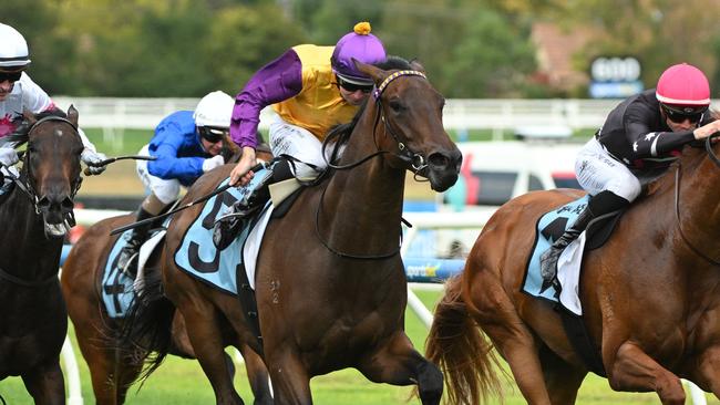 Damian Lane steers McGaw to victory in the VOBIS Platinum Showdown at Caulfield. Picture: Vince Caligiuri/Getty Images