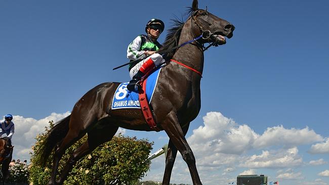 Shamus Award will jump from barrier one in the Rosehill Guineas. 