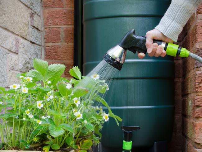 There are generous council incentives to install water tanks.